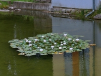 P1025325.1