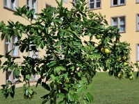 P1025381.1