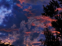 P7013431.1