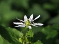 PA209174.1