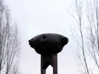 P1055737.3