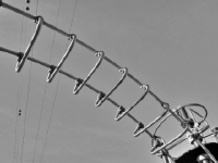 P1115844.2