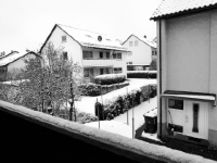 P1255981.2