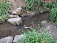 P1025699.1