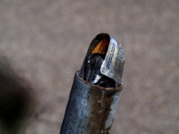P2046015.3