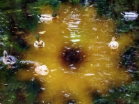 PA084179.4