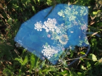 PB144918