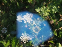 PB144919