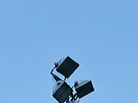 P1038289.3