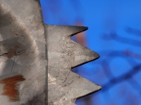 P1074482.1