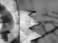 P1074482.2