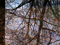 P1084527.1