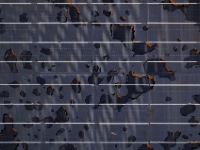 P1084539.1