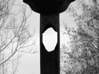 P1184621.2