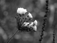 P1184637.2