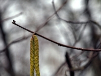 P1244681.1