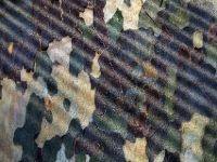 P2074871.1