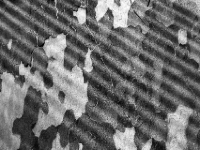 P2074871.2