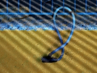 P2074890.1